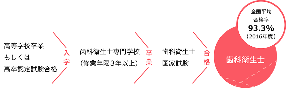 歯科衛生士になるまでの流れ